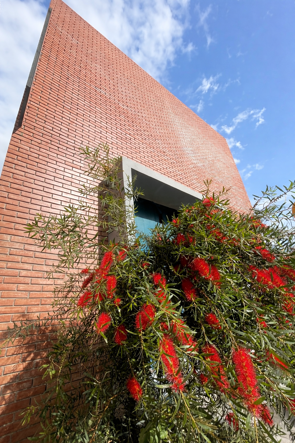 CO ECO COR. Studio– Babylon