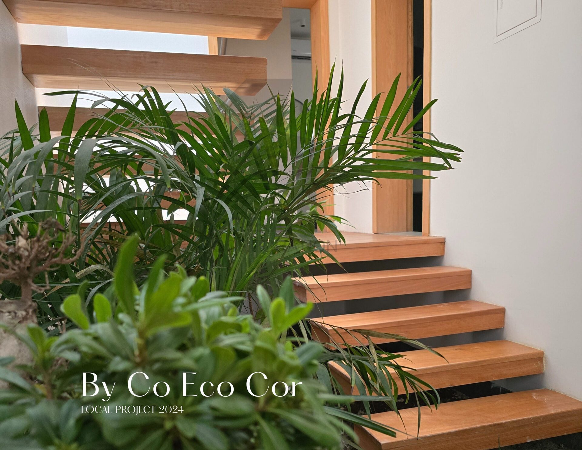 130 HOUSE_ BABYLON